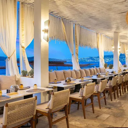 Swissotel Living 5* بودروم