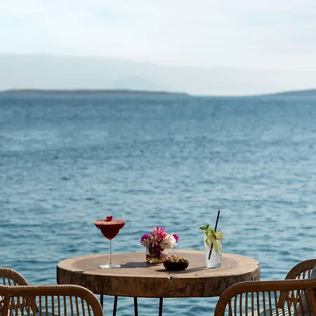 Resort Swissotel Living Bodrum 5*