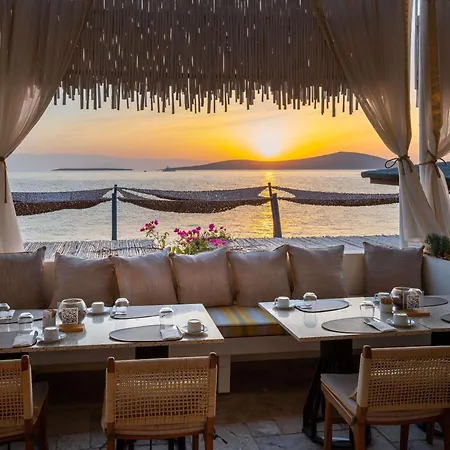 Resort Swissotel Living Bodrum 5*
